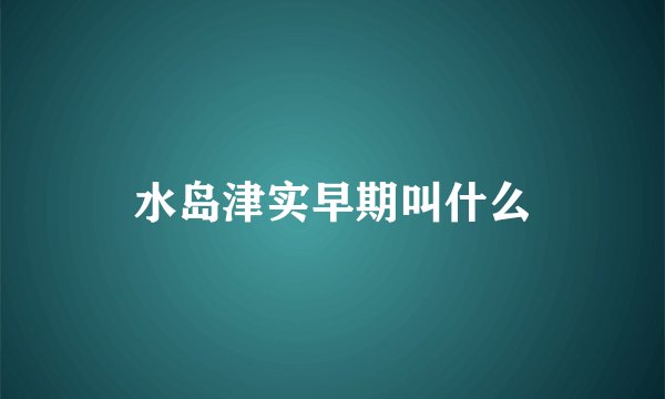 水岛津实早期叫什么