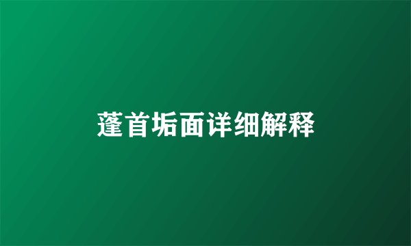 蓬首垢面详细解释