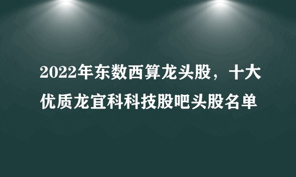 2022年东数西算龙头股，十大优质龙宜科科技股吧头股名单
