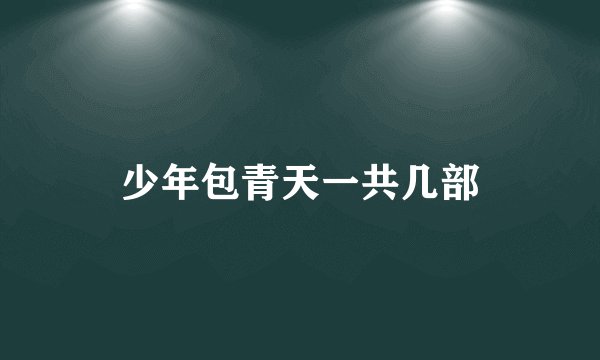 少年包青天一共几部