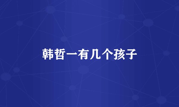 韩哲一有几个孩子