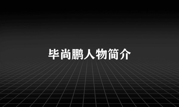 毕尚鹏人物简介