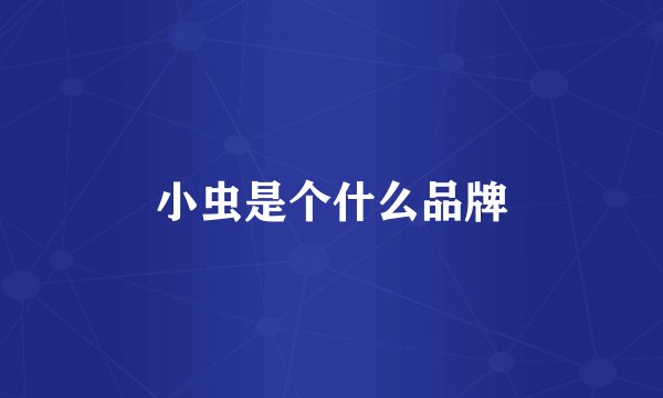 小虫是个什么品牌