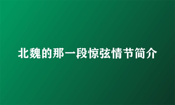 北魏的那一段惊弦情节简介