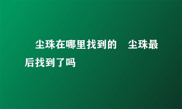 雮尘珠在哪里找到的雮尘珠最后找到了吗