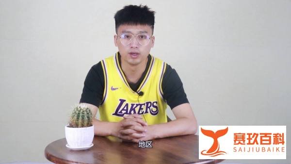 西双版纳属于云南哪个市区