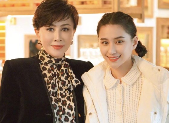 刘嘉玲向窦骁、何超莲道歉，这是因为刘嘉玲做了什么事？