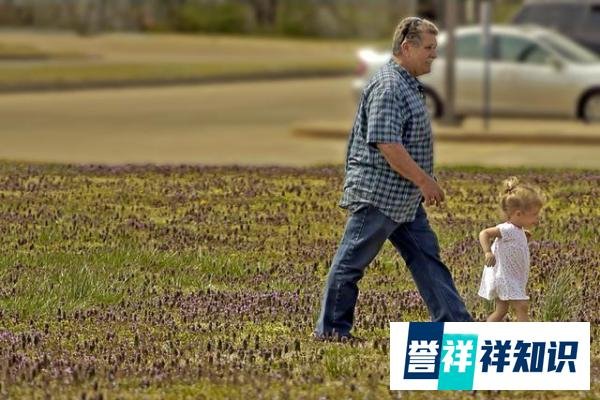 孙女返程，爷爷雨中相送不愿离去：所谓亲人，是不断目送你离去
