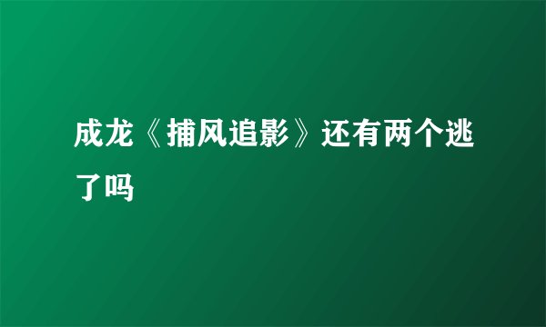 成龙《捕风追影》还有两个逃了吗
