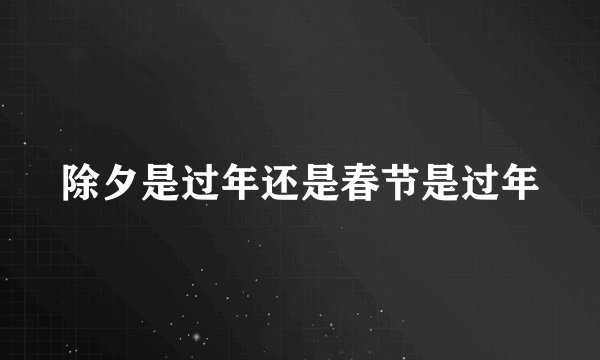 除夕是过年还是春节是过年