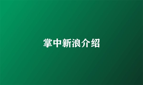 掌中新浪介绍