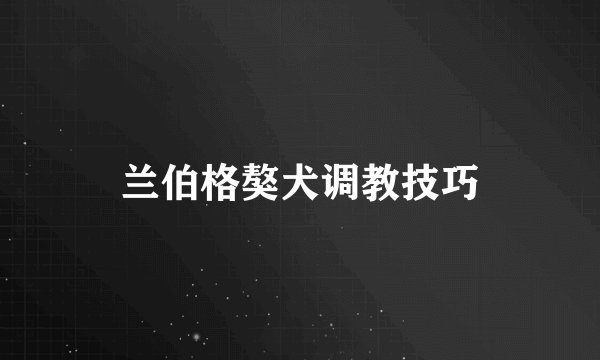兰伯格獒犬调教技巧