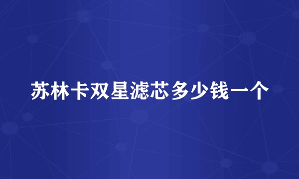 苏林卡双星滤芯多少钱一个