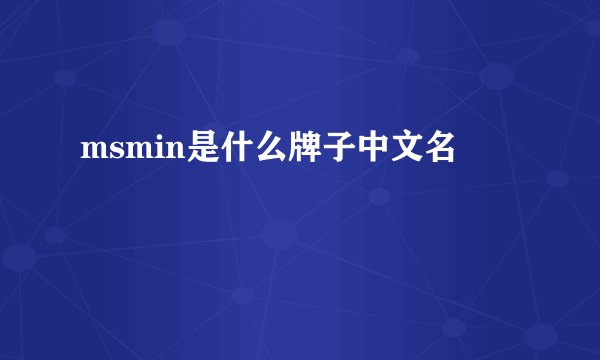 msmin是什么牌子中文名