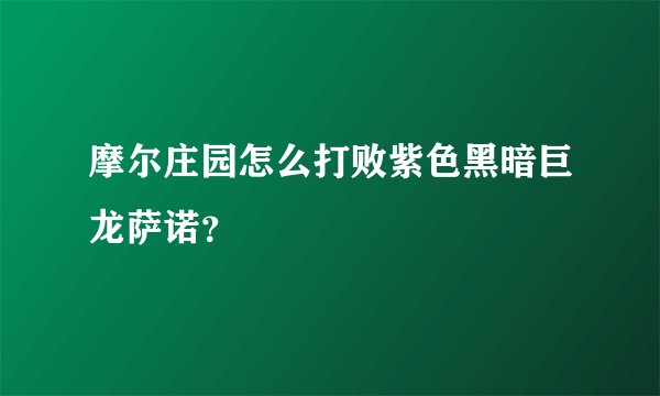 摩尔庄园怎么打败紫色黑暗巨龙萨诺？