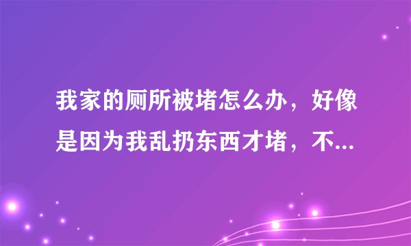 我家的厕所被堵怎么办，好像是因为我乱扔东西才堵，不想被家人发现，应该怎么疏通