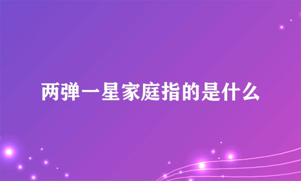 两弹一星家庭指的是什么