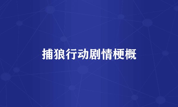 捕狼行动剧情梗概