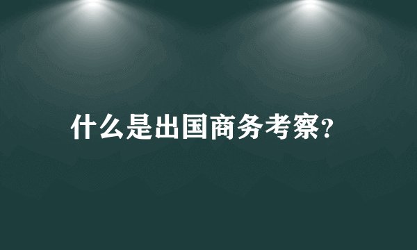 什么是出国商务考察？