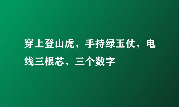 穿上登山虎，手持绿玉仗，电线三根芯，三个数字