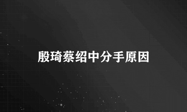 殷琦蔡绍中分手原因
