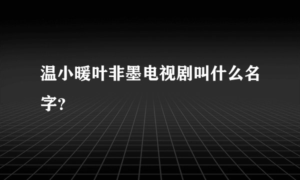 温小暖叶非墨电视剧叫什么名字?