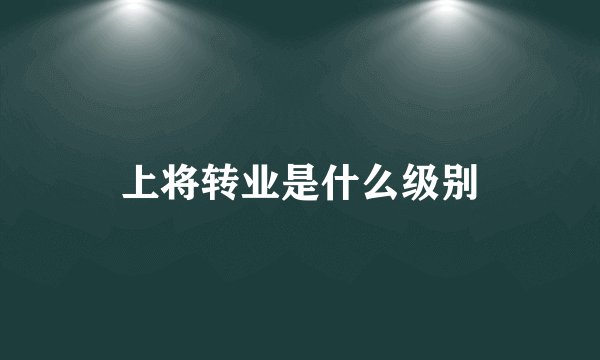 上将转业是什么级别