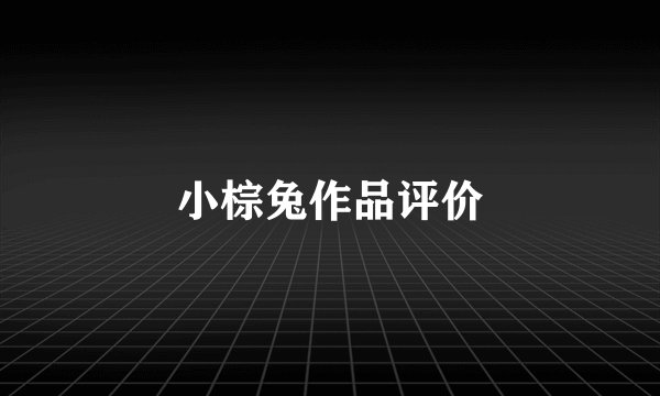 小棕兔作品评价