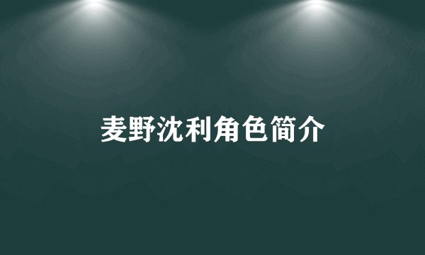 麦野沈利角色简介