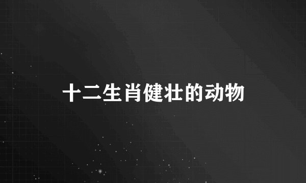 十二生肖健壮的动物