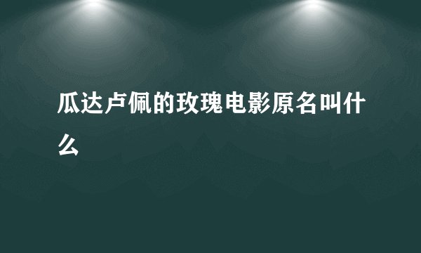 瓜达卢佩的玫瑰电影原名叫什么