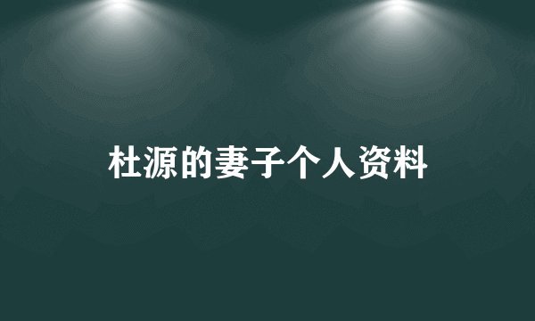 杜源的妻子个人资料