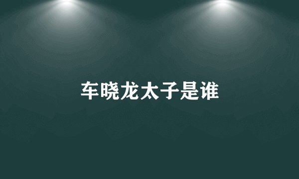 车晓龙太子是谁