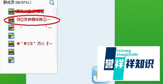 yy会员有什么用