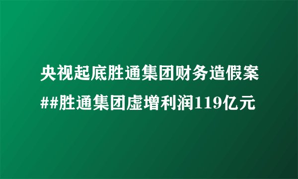 央视起底胜通集团财务造假案##胜通集团虚增利润119亿元