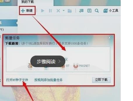 怎么看bt种子的下载地址？