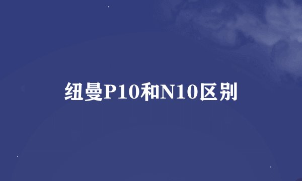 纽曼P10和N10区别
