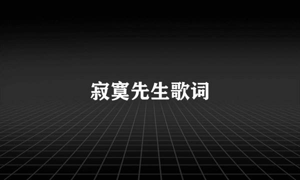 寂寞先生歌词