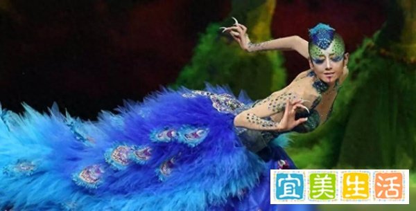 《《彩舞》之辩:杨丽萍的艺术探索与社会观念的交锋》