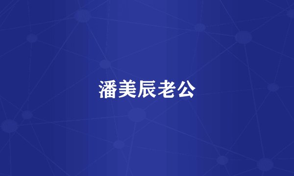 潘美辰老公