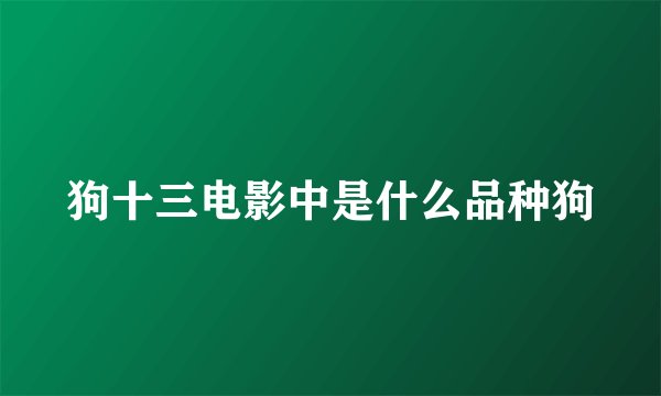 狗十三电影中是什么品种狗
