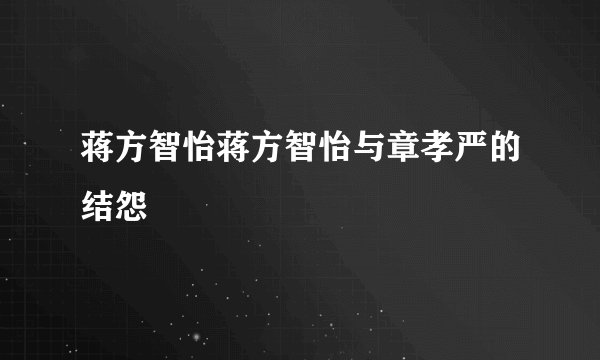 蒋方智怡蒋方智怡与章孝严的结怨
