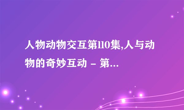 人物动物交互第ll0集,人与动物的奇妙互动 - 第110集