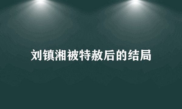 刘镇湘被特赦后的结局