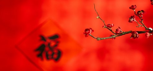 福字可以拆成什么字？