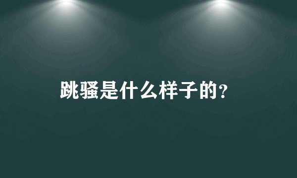 跳骚是什么样子的？