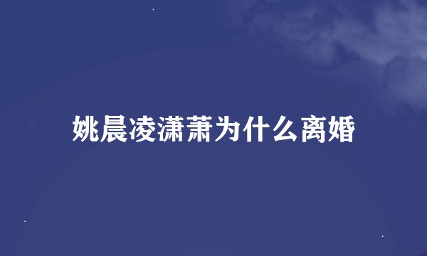 姚晨凌潇萧为什么离婚