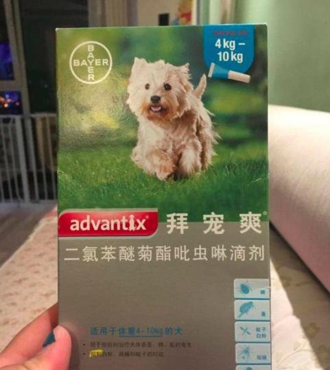狗驱虫药哪种好?老母亲的心酸喂药史。