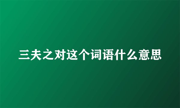 三夫之对这个词语什么意思