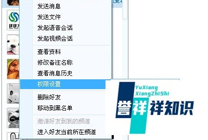 yy会员有什么用